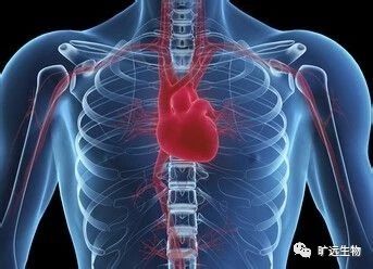 重磅推出最新欧洲共识解读：：高尿酸血症和高心血管风险患者的诊断和治疗专家共识（2018）